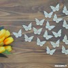 Tag Farfalla personalizzata con Nome per decorare le tue Bomboniere